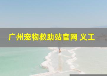 广州宠物救助站官网 义工